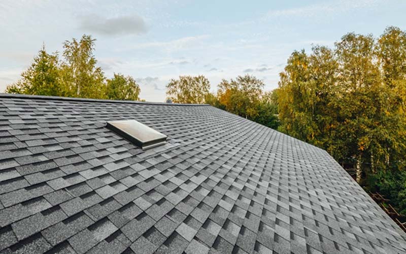 Roofing Repair Contractor