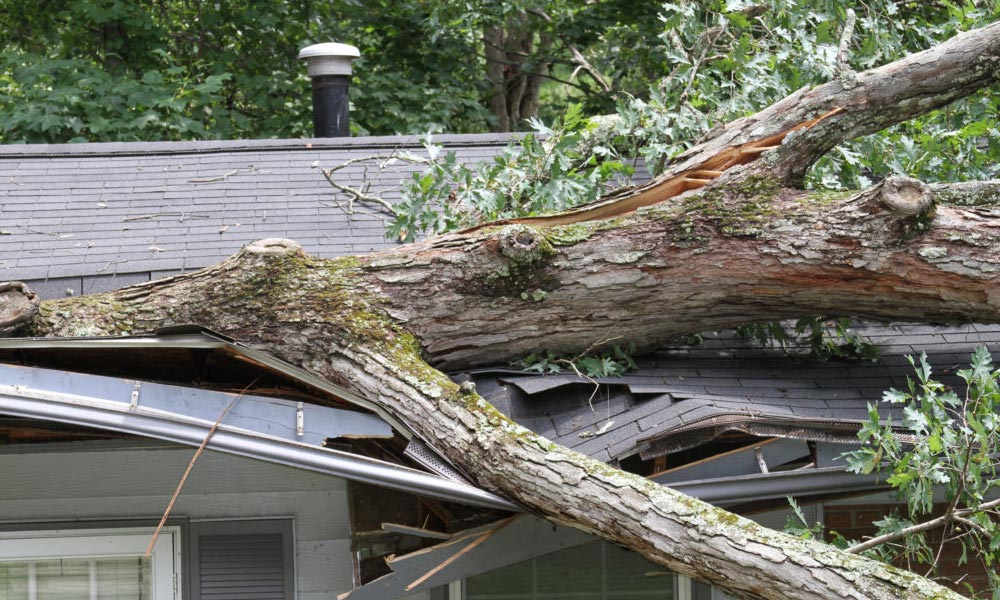 About Commercial Roofing